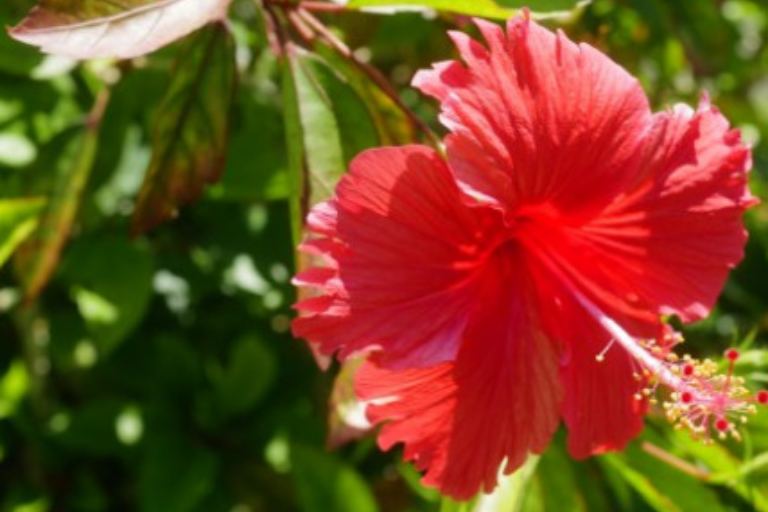 堂ヶ島ニュー銀水